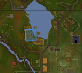 rs3 fishing guild location