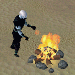 Bonfire Firemaking