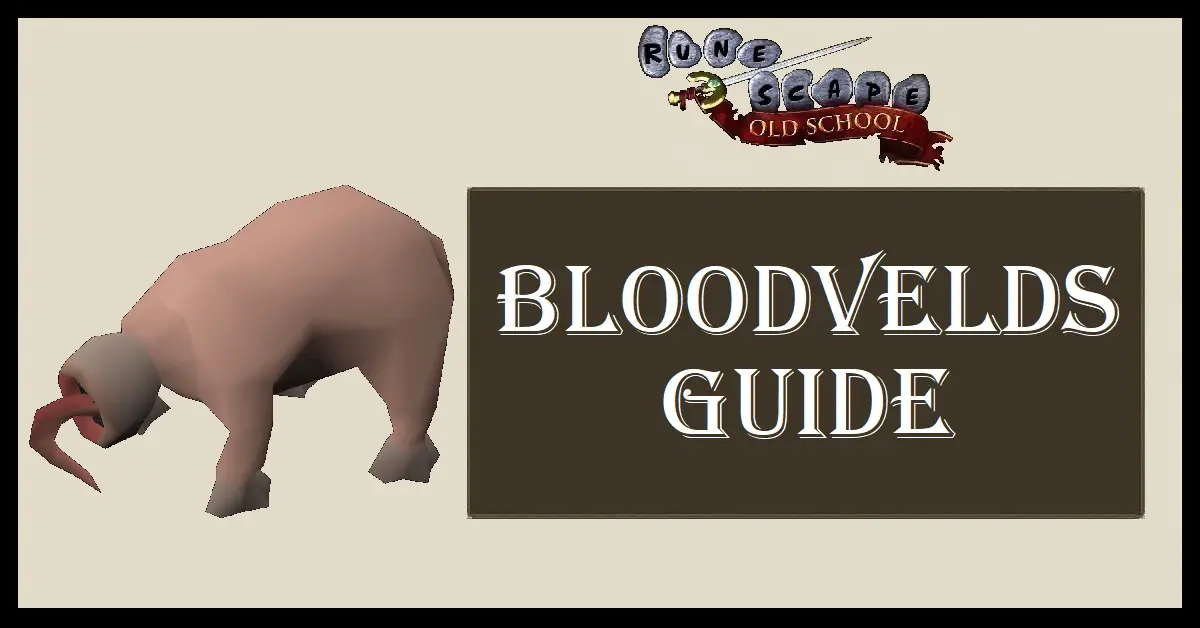 OSRS Bloodvelds Guide