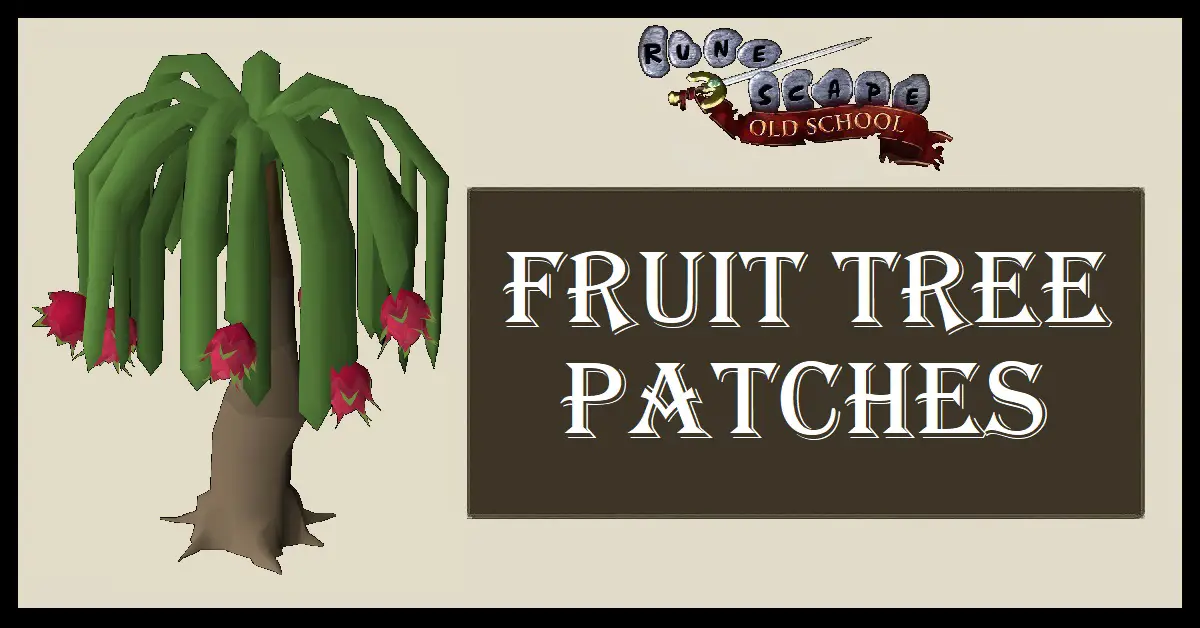 Fruit Tree Patches OSRS