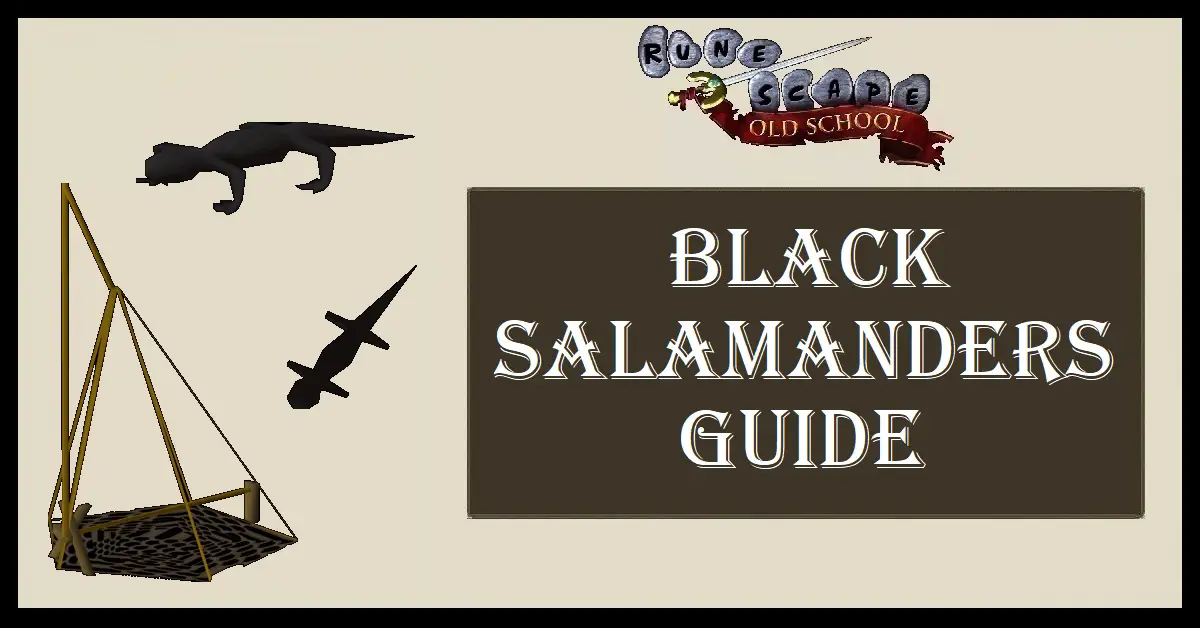 OSRS Black Salamanders Guide