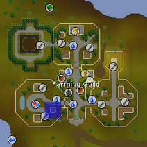 OSRS Farming Guild herb patch