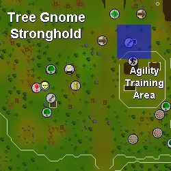 Tree Gnome Stronghold fruit tree patch osrs